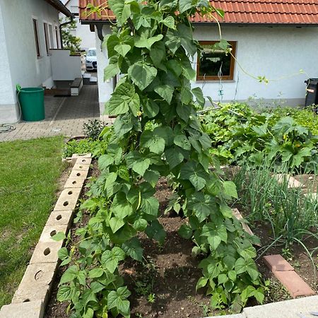 Ferienwohnung Eibenweg Gebsattel ภายนอก รูปภาพ