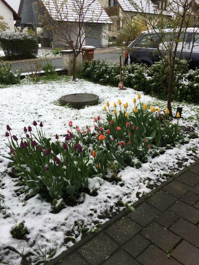 Ferienwohnung Eibenweg Gebsattel ภายนอก รูปภาพ